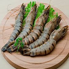 Tiger Prawns in Chirala, Bapatla and Guntur